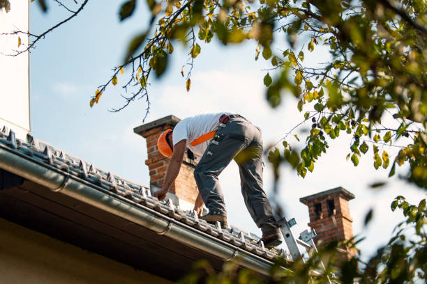 Best Storm Damage Roof Repair  in Vienna, IL