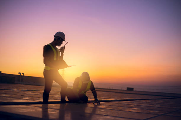 Best Roof Gutter Cleaning  in Vienna, IL