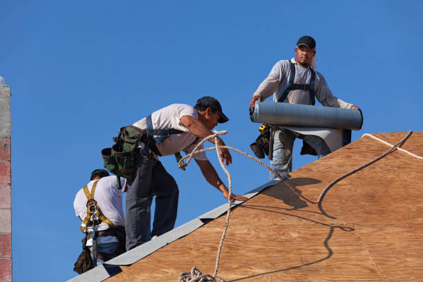 Best Residential Roofing Contractor  in Vienna, IL