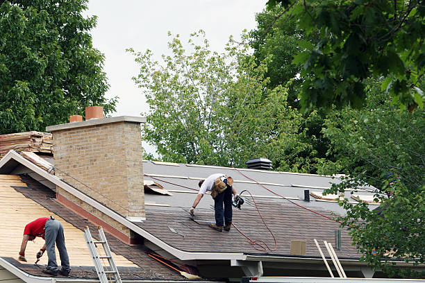 Best Flat Roof Repair Services  in Vienna, IL
