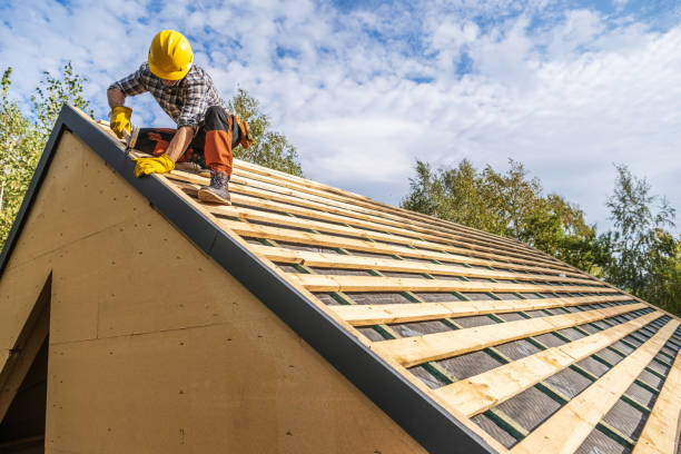 Best Metal Roofing Contractor  in Vienna, IL