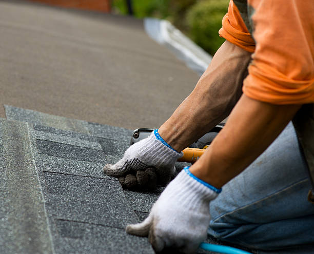 Best Gutter Installation and Roofing  in Vienna, IL