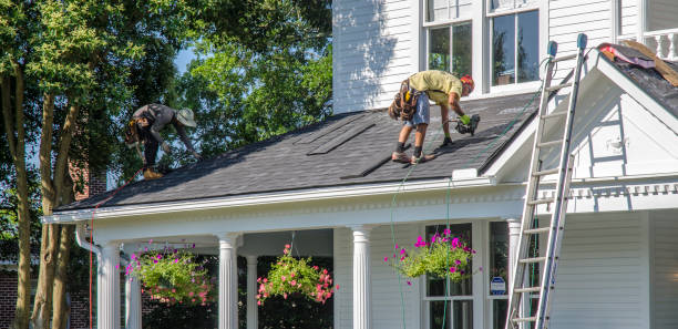 Best Roof Repair Services  in Vienna, IL