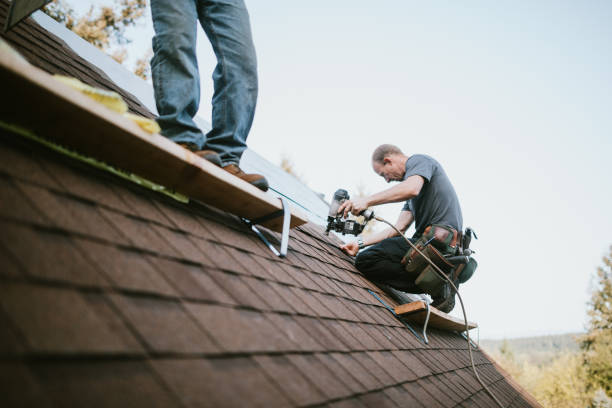 Best Gutter Installation and Roofing  in Vienna, IL