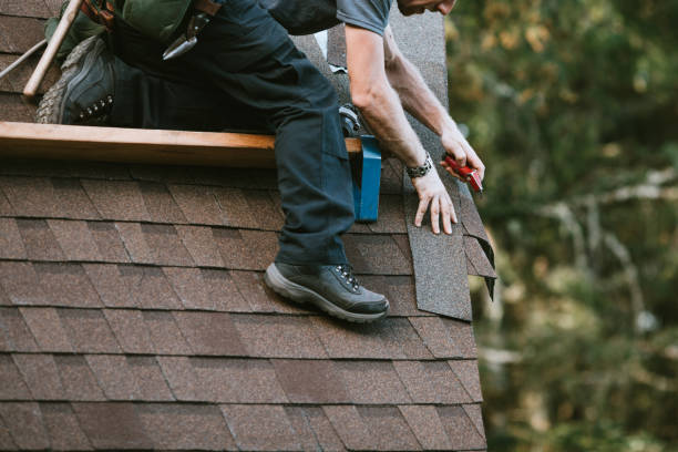 Best New Roof Installation  in Vienna, IL