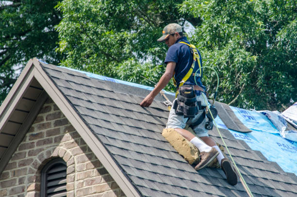 Best Local Roofing Companies  in Vienna, IL